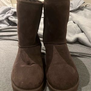 BROWN CLASSIC SHORT II